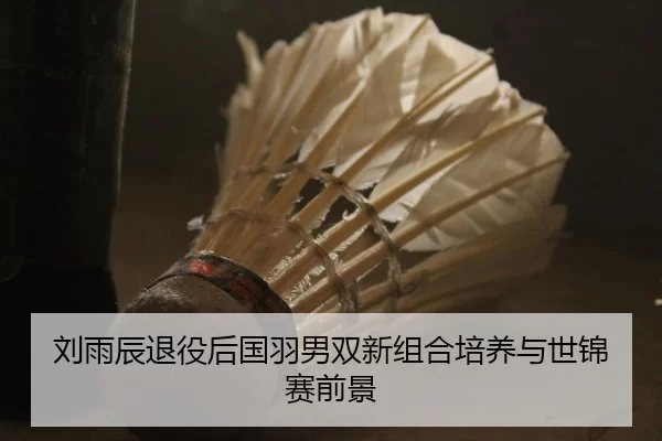 刘雨辰退役后国羽男双新组合培养与世锦赛前景