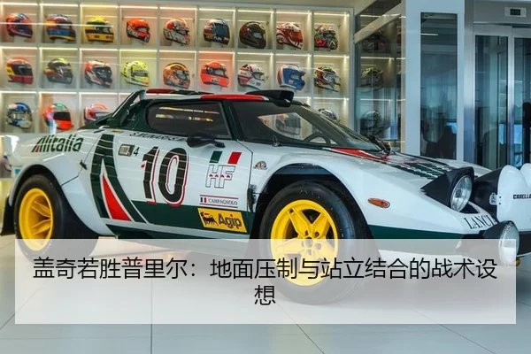 盖奇若胜普里尔：地面压制与站立结合的战术设想